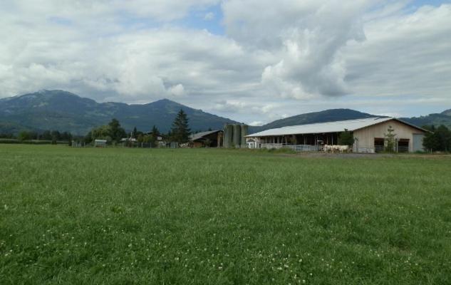 Montlingen Steigmatt Bauernhof- Erlebnisヴィラ エクステリア 写真